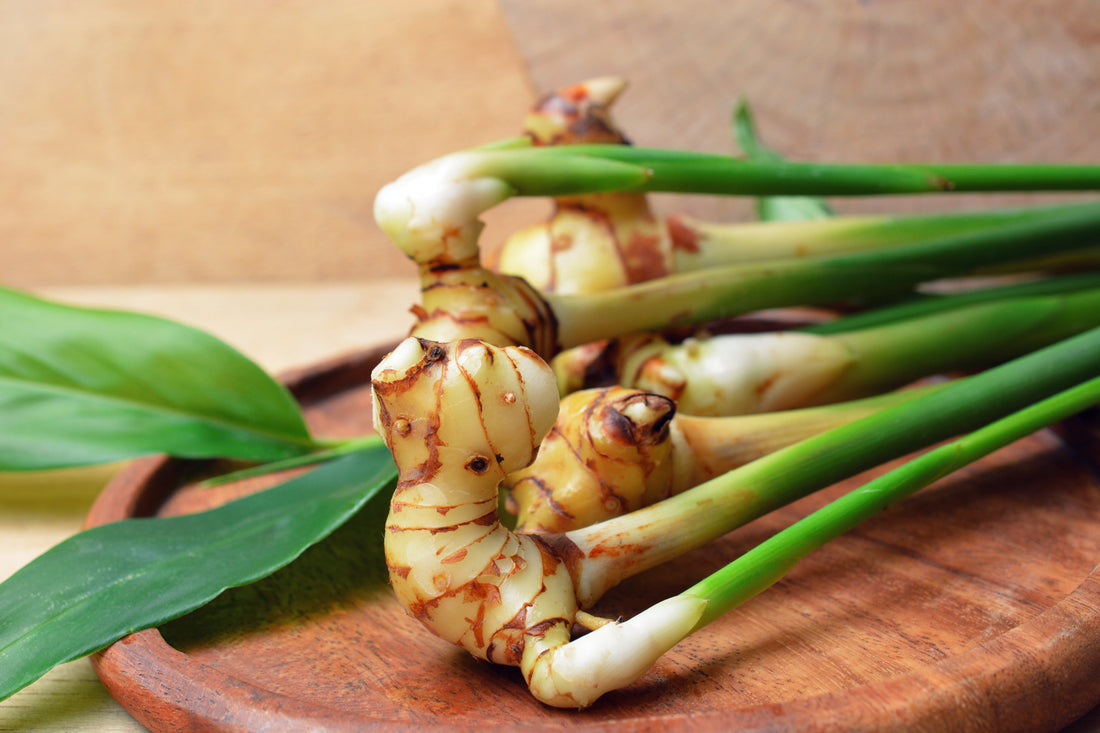 Galangal Wine – A Natural Remedy Inspired by Hildegard of Bingen