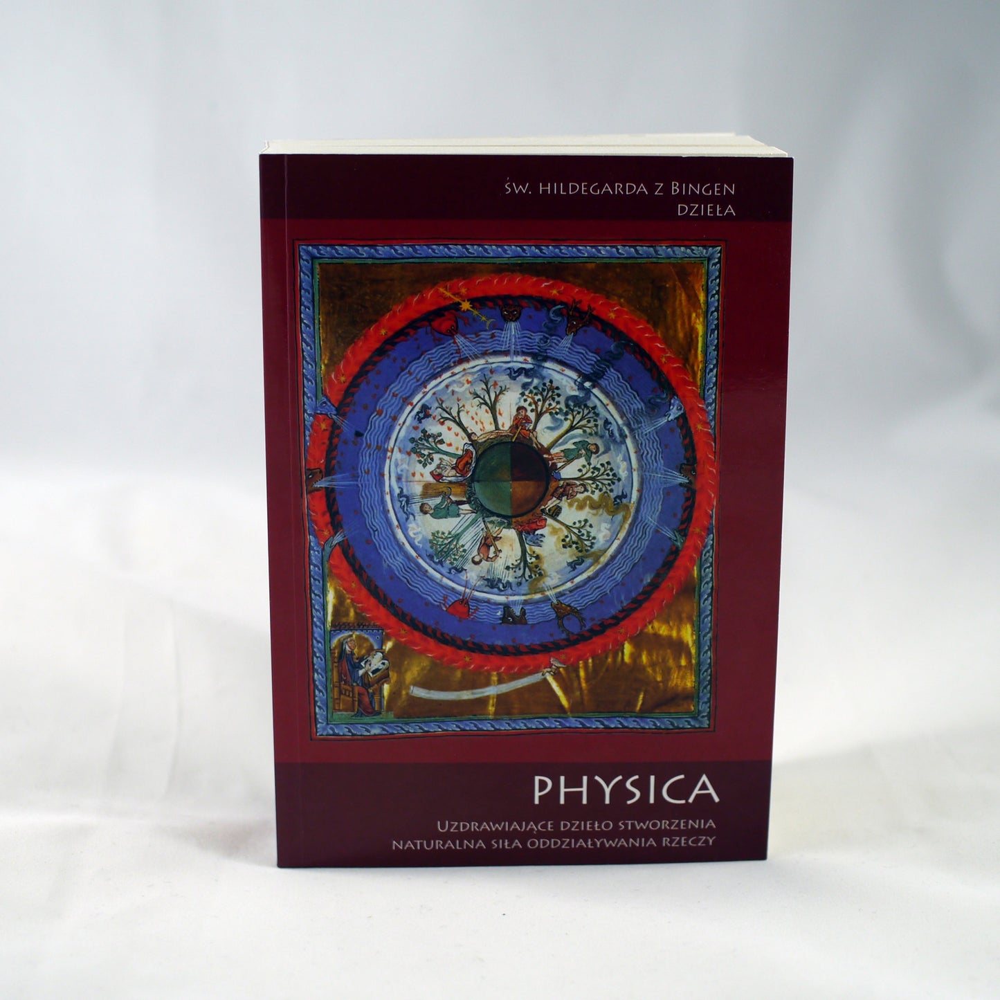 Sw. Hildegarda, Physica