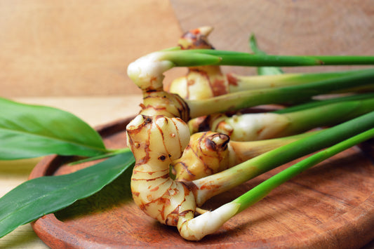 Galangal Wine – A Natural Remedy Inspired by Hildegard of Bingen